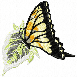 Butterfly Embroidery Design 7 Butterfly Embroidery Design 7